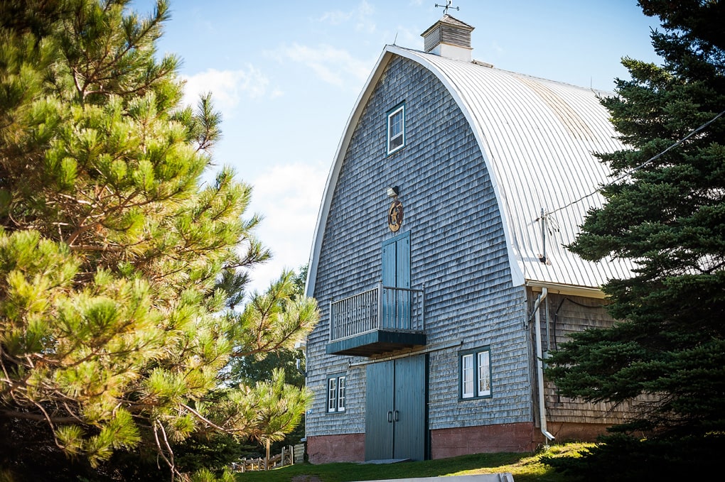 PEI Wedding, Halifax Wedding Photographer