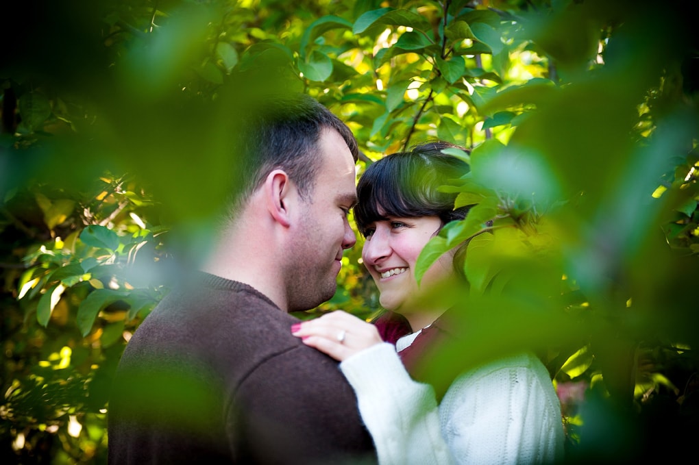 Wolfville Engagement Photography, Cornfields, Sunset