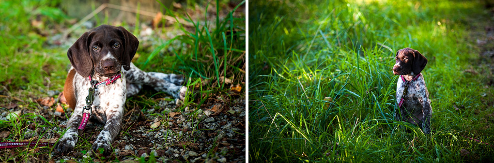 Yarmouth Engagement Photography, Lighthouse, Trail