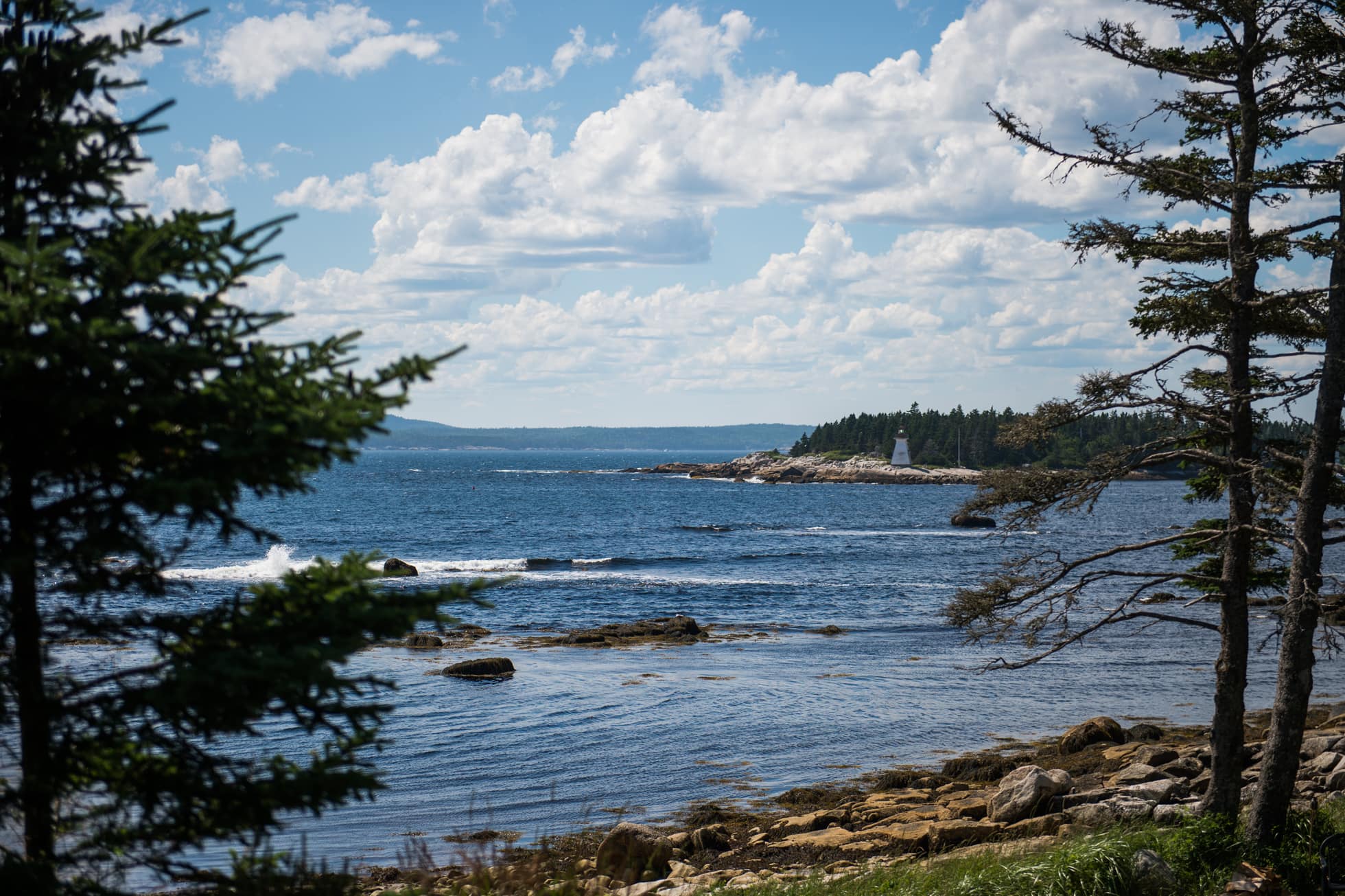 021-Halifax-Wedding-Photographer