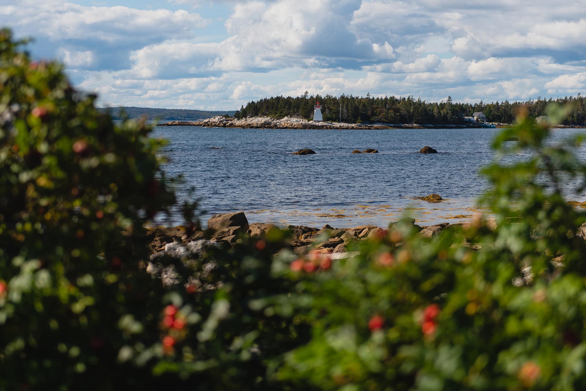 Oceanstone Resort Wedding, Halifax Wedding Photographer